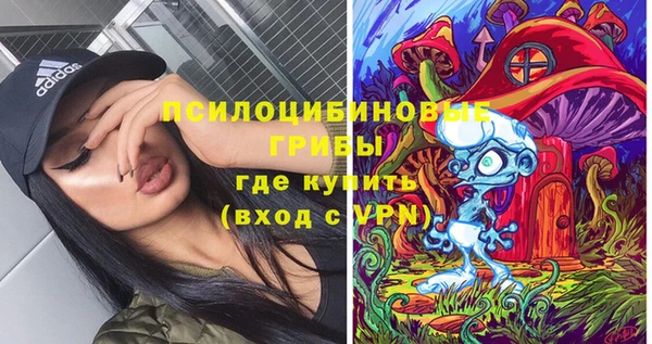 героин Алексин