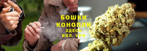дурь Алексеевка