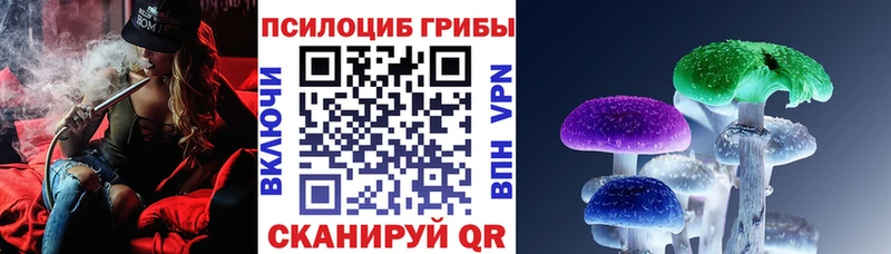 где продают   Калтан  Галлюциногенные грибы Psilocybe 